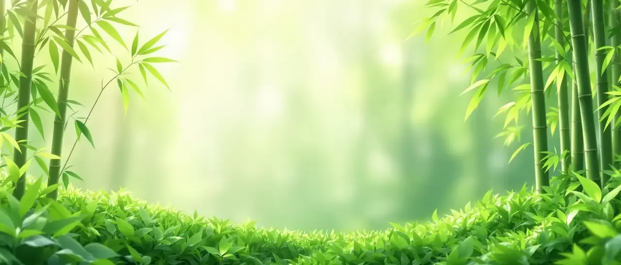 果冻电影网 · 清新佳作 - 果冻电影网 果冻电影网 · 清新佳作 页面背景